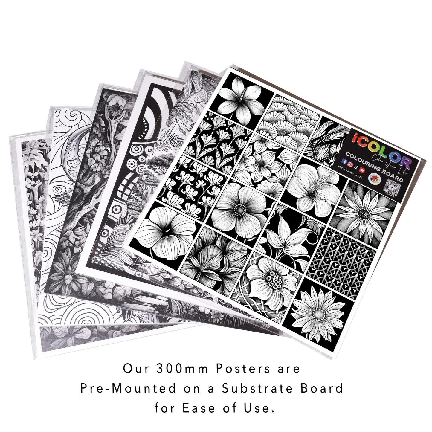 Botanical Zen Mosaic Colouring Products - Intricate Zentangle Art | iColor