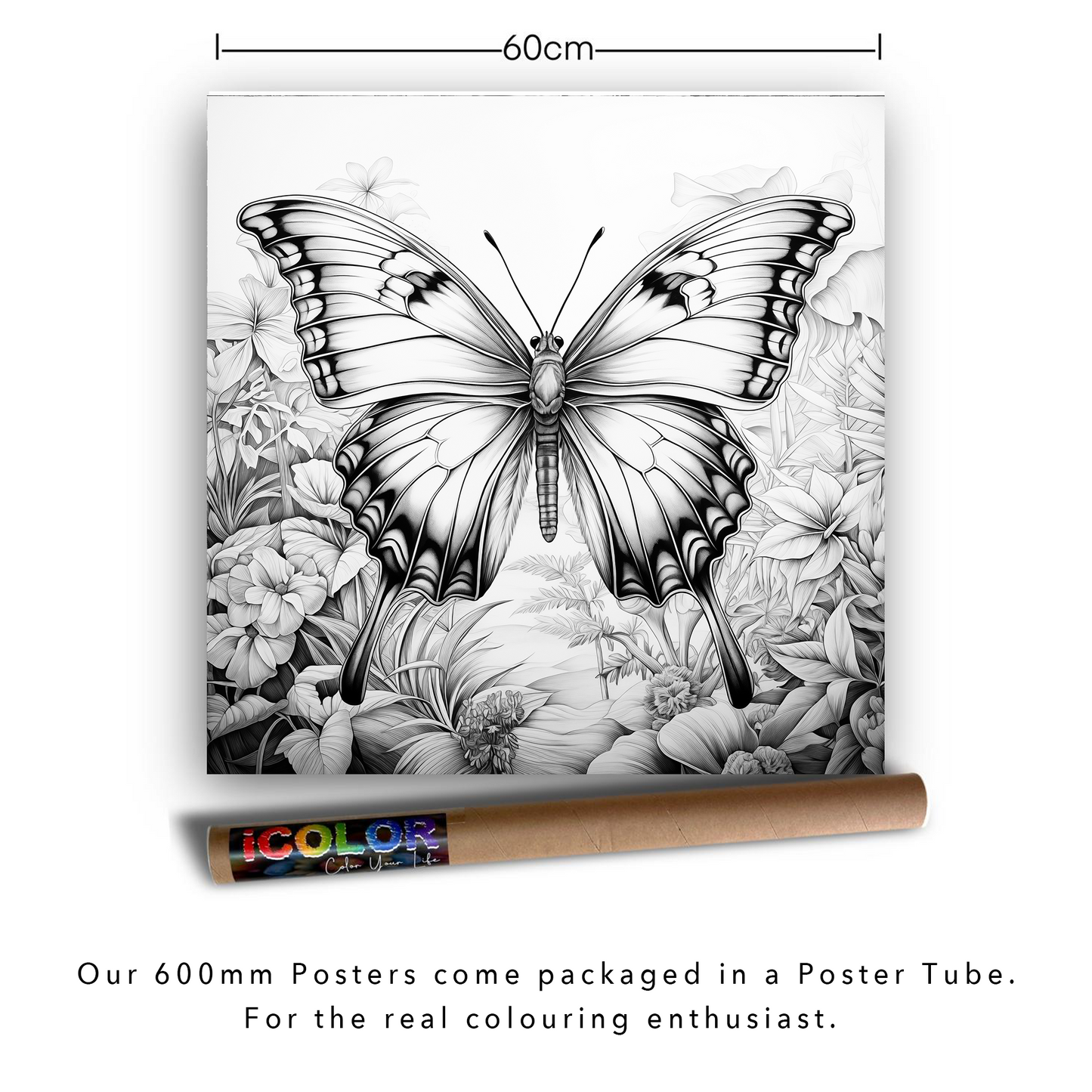 Fluttering Oasis Colouring Products - Majestic Animal Art | iColor