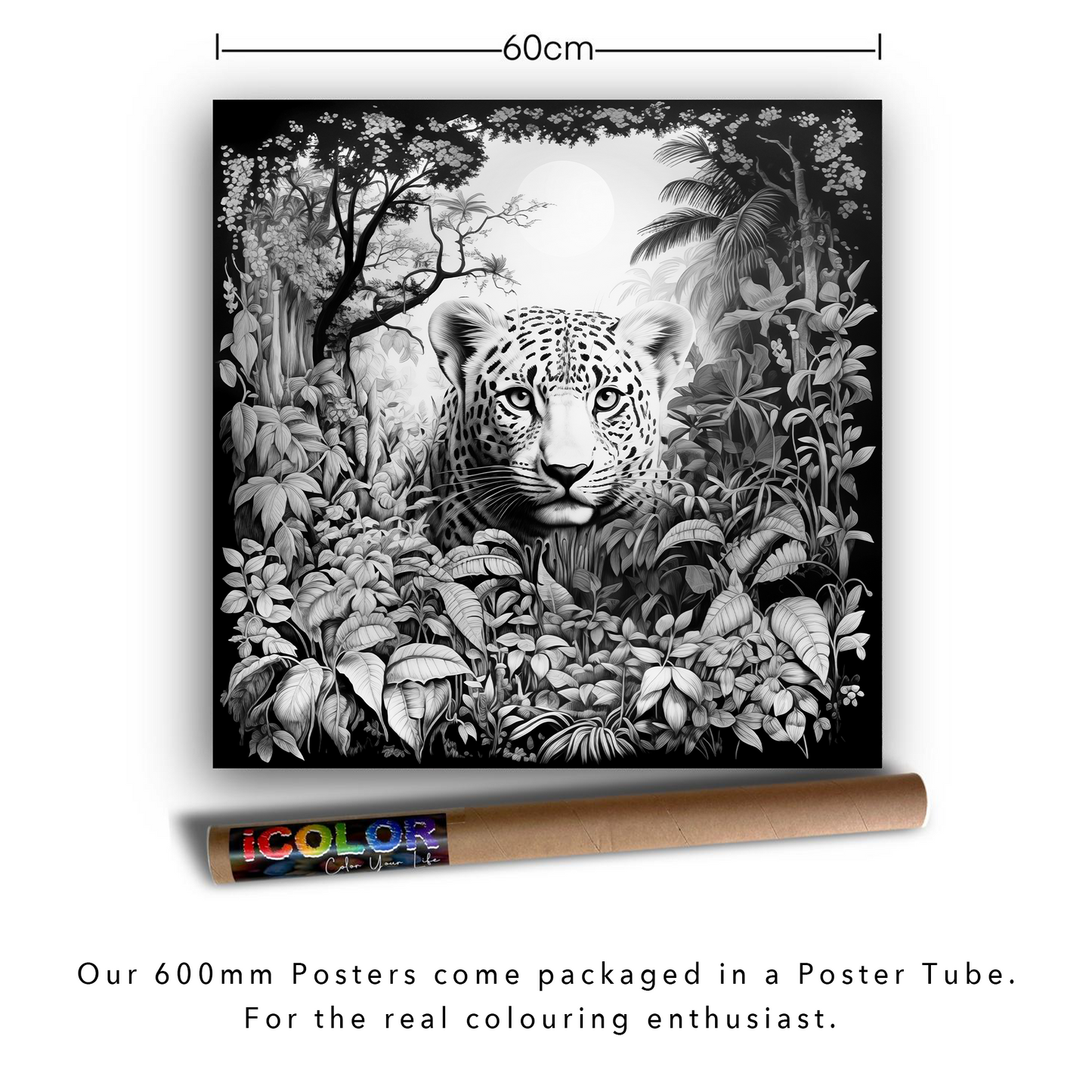 Jungle Leopard Colouring Products - Majestic Animal Art | iColor