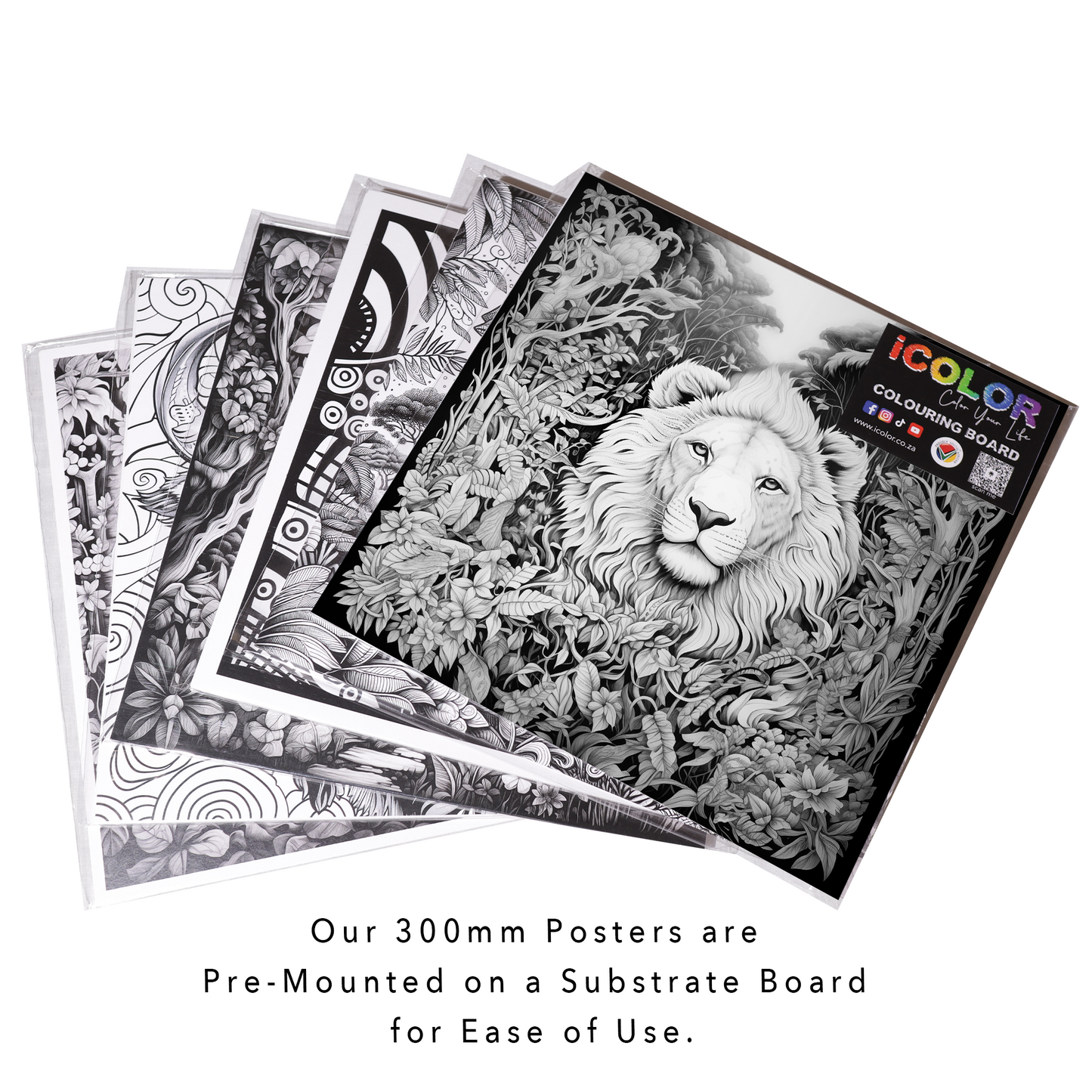 Jungle Lion Colouring Products - Majestic Animal Art | iColor