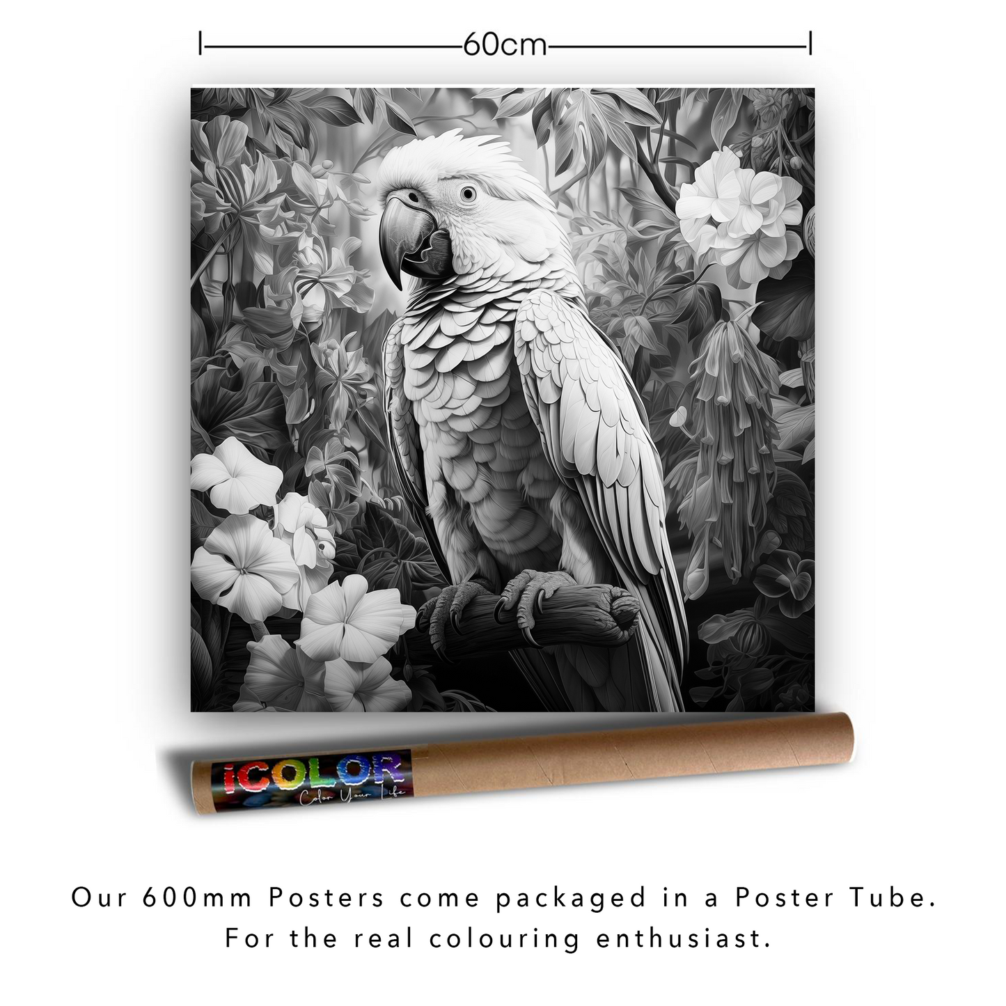 Fine Art - Leafy Parrot Colouring Products - Majestic Animal Art | iColor