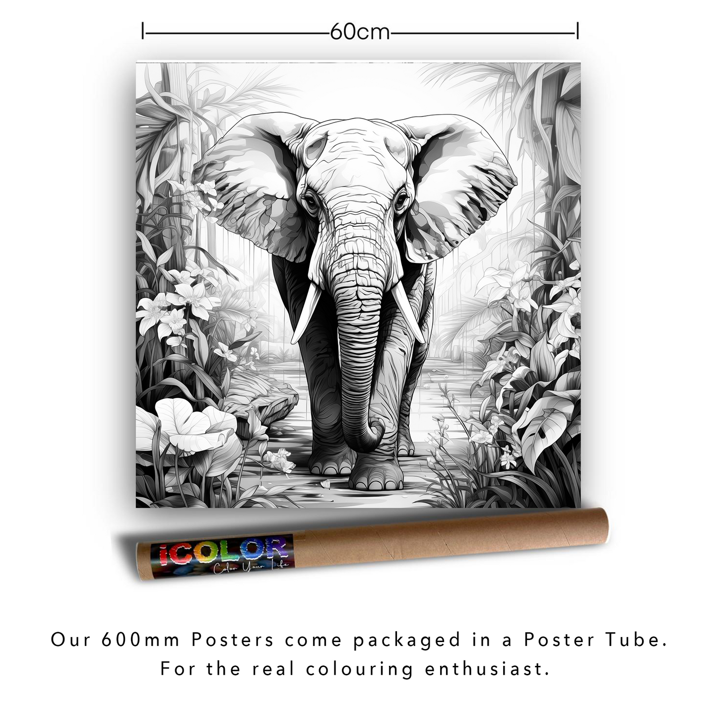 Fine Art - Majestic Elephant Colouring Products - Majestic Animal Art | iColor